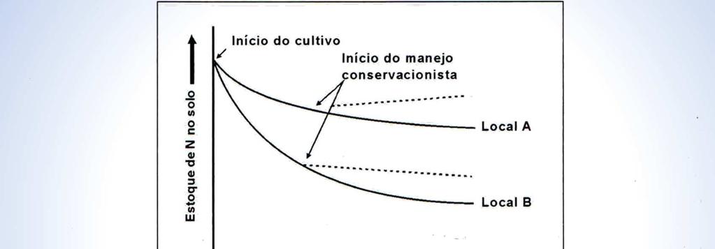 Importância do