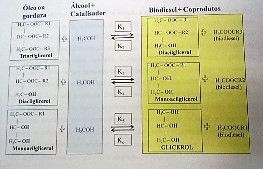 BIODIESEL 7 Fonte da imagem: SEQUINEL, R. et al.