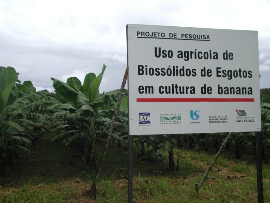 Utilização Agrícola