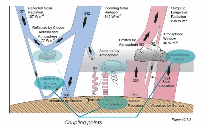 e o clima mundial (UV) (IV) Ciclo do C, N e S: controle do clima CH 4, O 3, N 2 O, CFCs,, vapor d água.