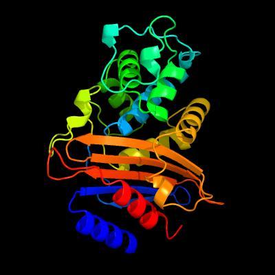 Resultados 5. β-lactamase CTX-M-166 A enzima CTX-M-166 identificada no decorrer deste trabalho apresenta a seguinte sequência aminoacídica, onde está destacada a valina na posição 120 (a vermelho).