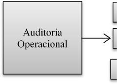 30 4.2 Análise da eficiência, eficácia e economicidade na Administração Pública A Auditoria Operacional tem a finalidade de avaliar a gestão em relação à eficiência, eficácia e economicidade.