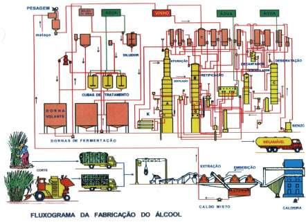 Cultura pura Matérias-primas Matérias-primas Cultivo em laboratório Meio de cultivo Meio de fermentação (mosto) Inóculo (laboratório) Esterilização Esterilização Cultivo industrial Inóculo