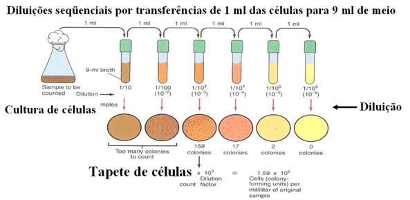 COMO MEDIR