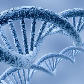 DNA http://www.scientificamerican.
