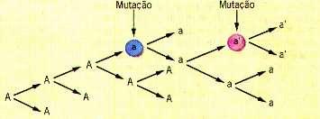 P vermelhas x brancas VV BB F 00% rosas VB F rosas x rosas VB VB VV F2 25% vermelhas VB 50% rosas BB 25% brancas Herança determinada por ou mais alelos que condicionam um só caráter, obedecendo os