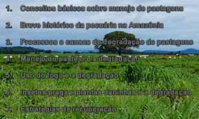 Insetos praga e plantas daninhas e a degradação Moacyr Bernardino Dias-Filho Embrapa Amazônia Oriental www.diasfilho.com.br 7.