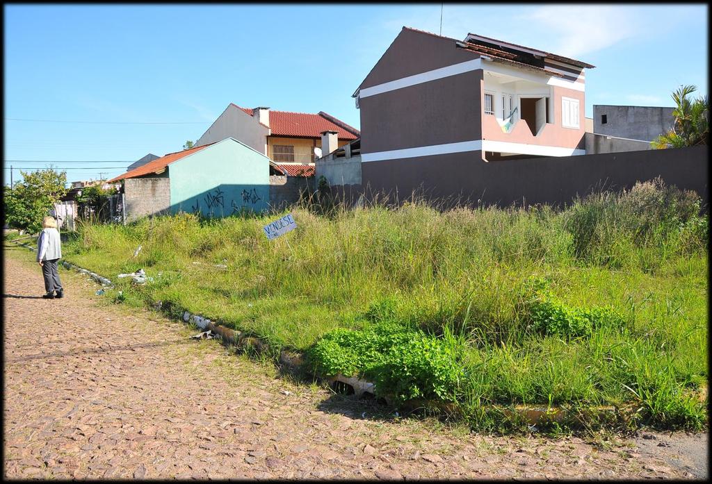 Plantas daninhas em terreno baldio FONTE: http://diariodecanoas.com.