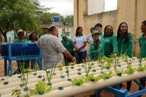 pioneiro sistema agrovoltaico. A palestra começará a partir das 9h na sede do Instituto Agronômico de Pernambuco (IPA), no Recife.