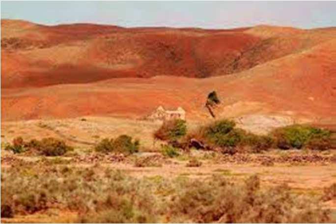 A DESERTIFICAÇÃO Ocorre quando o solo está exposto (sem cobertura vegetal) e