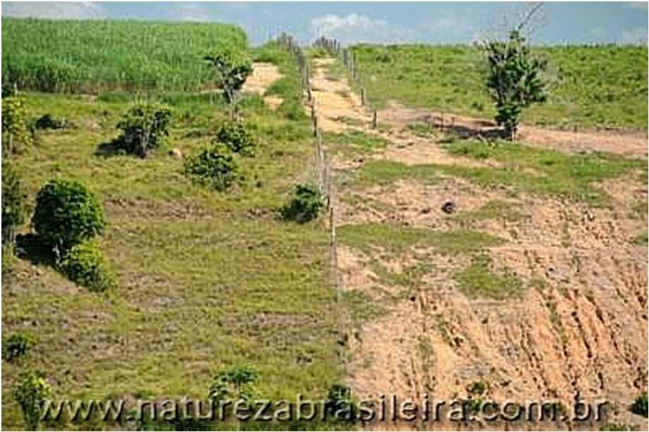 A EROSÃO Erosão é todo o processo que envolve a retirada e transporte do solo de um local, pela ação da natureza;