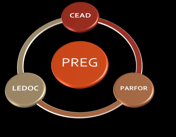 Gestão Acadêmica: PREG e subsistemas de gestão A Pró-Reitoria de Ensino de Graduação (PREG) é a responsável, em articulação com os Campi, Centros, Departamentos e Coordenações,