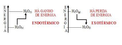 4 Aplicando 1. Considere as seguintes reações do metano: I. II. III. IV.