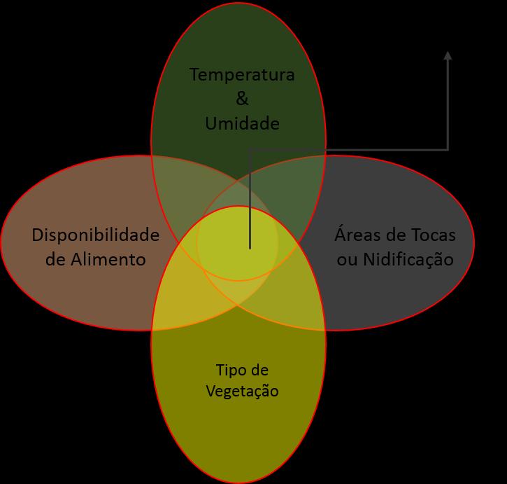 Hábitat: ambiente (propriedades físicas e bióticas) e