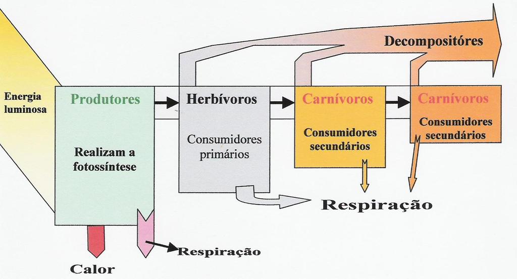 Fluxo de Energia no