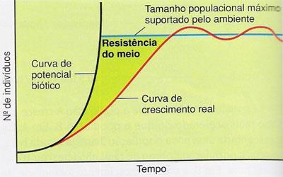 Curvas de