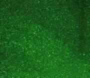 TEMA DINOSSAURO Glitter Glitter 769 - Kit Painel Grande Dinossauro Glitter Verde Formato: Patas: 130x155mm