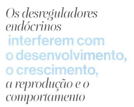 Algumas evidências cientificas têm mostrado que os incêndios florestais aumentam a quantidade de desreguladores endócrinos no meio ambiente, pondo em risco a saúde das pessoas nas imediações.