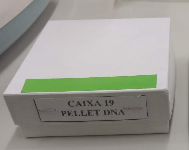 Arquivamento do DNA
