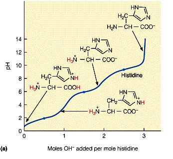 2. Comportamento ácido-base e curvas de titulação de aminoácidos e péptidos: Determinação do pi de