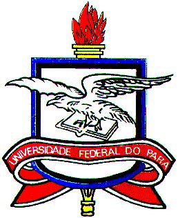 UNIVERSIDADE FEDERAL DO PARÁ PRÓ-REITORIA DE ENSINO DE GRADUAÇÃO PROGRAMA DE EDUCAÇÃO TUTORIAL MEDICINA/ENFERMAGEM EDITAL DE SELEÇÃO DE BOLSISTAS O presente Edital dispõe sobre o processo de seleção