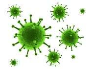 Patogenia das viroses Para causar doença o vírus deve: 1. Invadir o hospedeiro 2. Estabelecer um primeiro contato, pela replicação em células suscetíveis no local da inoculação 3.