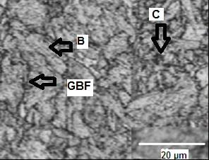 detectados após análise no microscópio eletrônico de varredura (MEV), como na Figura 6.