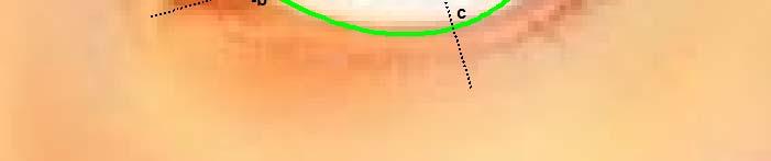 centro da íris e do centro do olho, respectivamente pelos parâmetros: xc, yc, xe e ye.