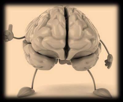Explicação biológica: cérebro triúnico Quando falamos em cérebro humano, estamos nos referindo a um complexo sistema que compreende, na verdade, três