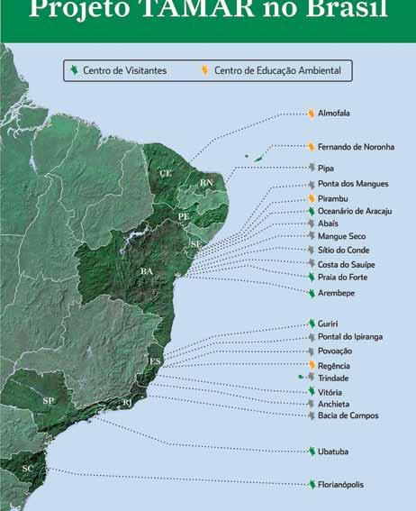 Projeto Tamar-ICMBio O Projeto Tamar-ICMBio é uma iniciativa estabelecida no Brasil desde 1980, conceituada internacionalmente como um dos mais notáveis programas ambientais e científicos da