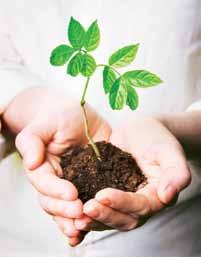 Ao longo dos anos, com a revolução científica, agrícola e industrial, o conhecimento e a tecnologia possibilitaram uma exploração inconsequente sobre a Natureza.