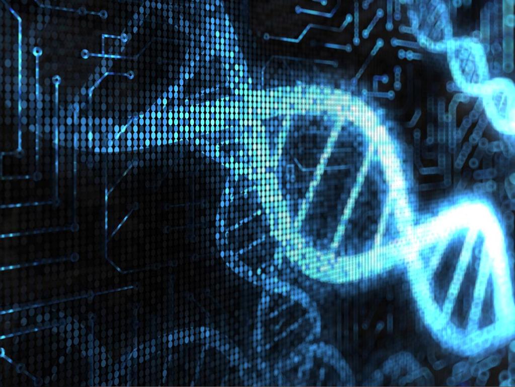 Como a informação contida no DNA