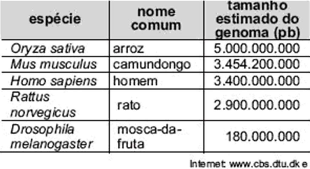 Montagem de Genomas Genoma Eucarioto: - Grande variação no