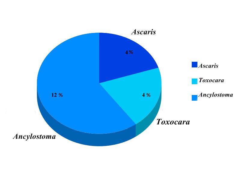 No território nacional, estudos sobre a prevalência de parasitas em cães demostram que os mais encontrados são Ancylostoma spp., Toxocara canis, Trichuris vulpis e Giardia spp. (OLIVEIRA, et al.