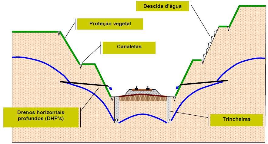 TRANSVERSAL EM CORTE