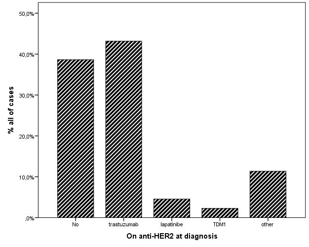 Figure 11- Anti- HER2 regimens were being held at the moment of diagnosis brain metastases. After BM metastases diagnosis, most patients (57%) underwent whole brain radiotherapy (WBRT) only.
