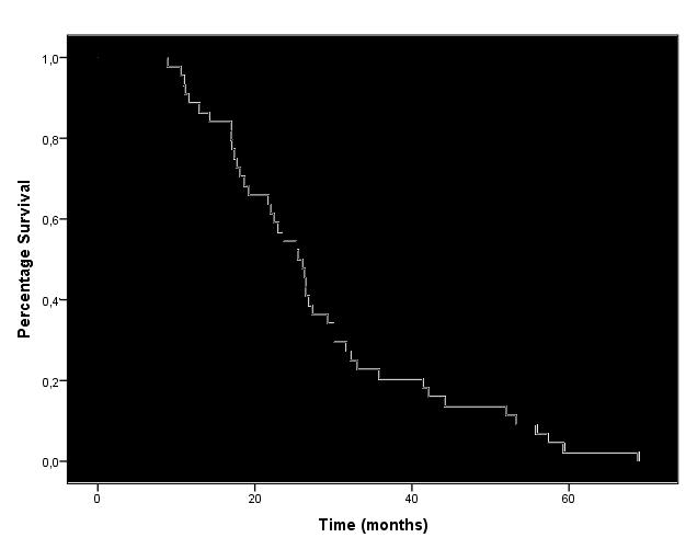 III OUTCOME ANALYSIS BRAIN METASTASES-FREE SURVIVAL Median brain metastases-free survival (BMFS) in HER2+ BC patients was 25.5 months (95% IC 21.8-29.2).