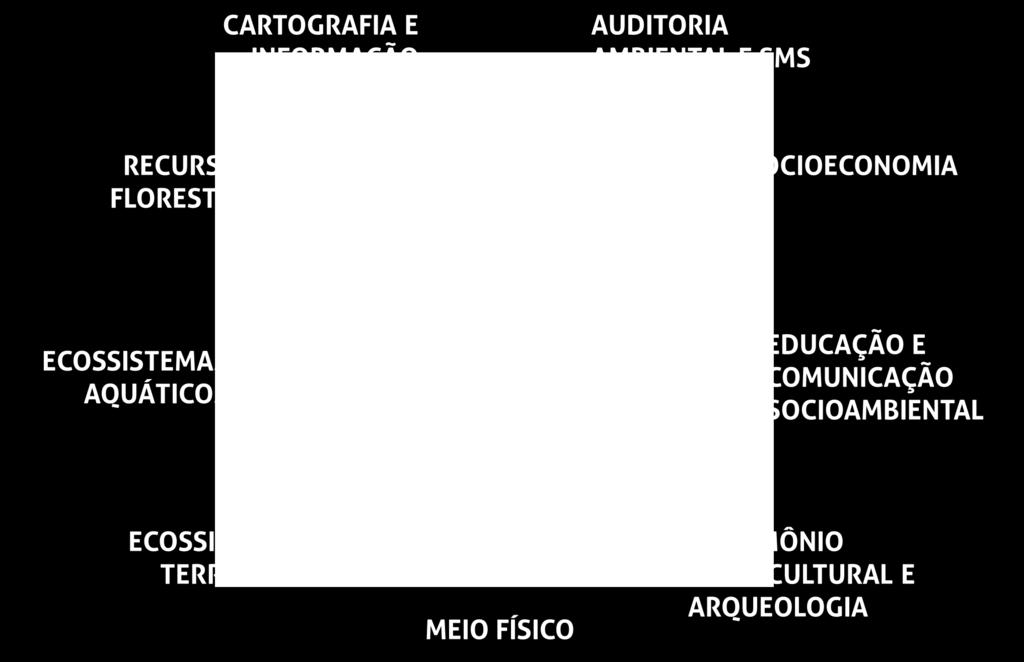 ENGENHARIA E MEIO AMBIENTE a