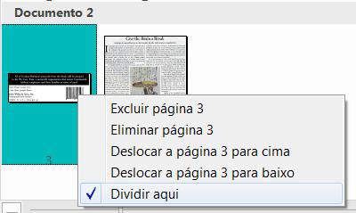 No painel Páginas, indique a página na qual pretende que o Readiris comece um novo documento: o o Selecione a página.