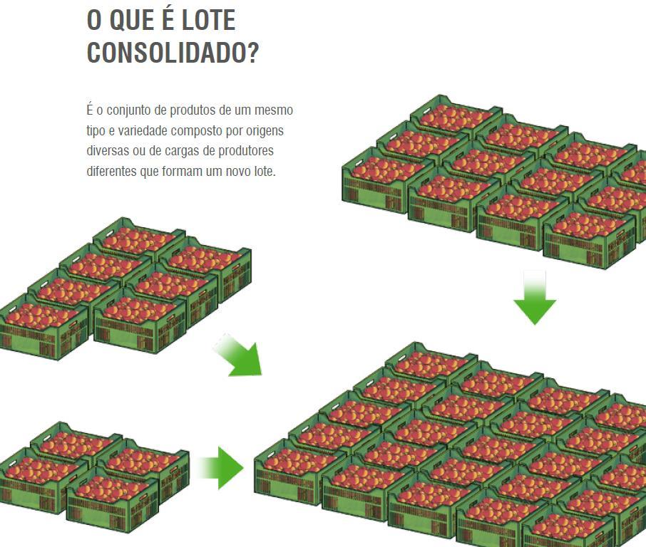 LOTE CONSOLIDADO É o conjunto de produtos de um mesmo tipo e variedade composto