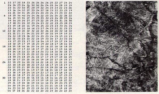 Fig. 5.2 - Representação matricial de uma cena referente a uma faixa específica do espectro Fonte: Sabins (1978), p.243. Na Figura 5.
