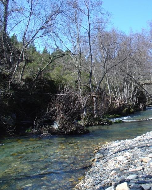 Locais de amostragem P5: situados próximo da foz com a ribeira de Calabor.