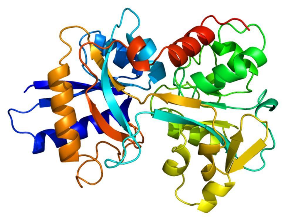 Proteínas transportadoras de Fe 3+ Várias proteínas que são estruturalmente similares: