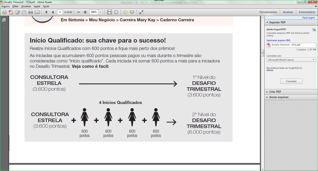 e na Carreira) - Reconhecer o trabalho ao final do Trimestre pela Estrela conquistada e