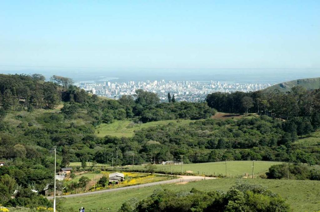 A vegetação também contribui para a amenização do calor em áreas muito impermeabilizadas.