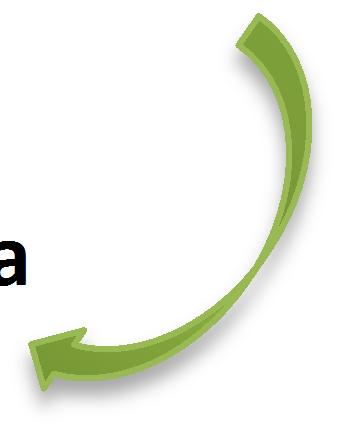 Para os casos em que o Custodiante do Emissor do Instrumento Financeiro for da mesma família do Emissor ou Detentor, não haverá necessidade de confirmação,