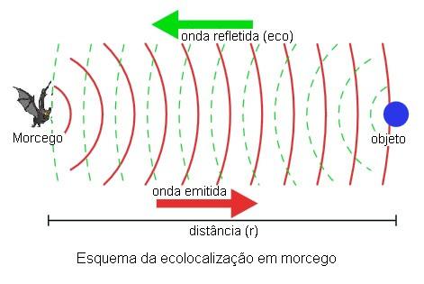 15 Velocidade do som A velocidade de propagação das ondas sonoras depende da densidade do meio. O som se propaga com maior velocidade em sólidos, seguido e gasoso.