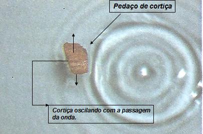 Esta onda tem características semelhantes à onda que se propaga pela corda Nestes dois exemplos a corda e a água, são os meios pela qual as ondas se propagam.