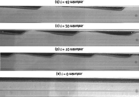 33 a) b) t= minutos t= 1 minutos t= 2 minutos Escoamento Pistão Bolha Frente do pistão (t = s) Duna de areia Corpo do pistão (t =,75 s) Bolha Frente da bolha (t = 1,5 s) t= 45 minutos Figura 2.