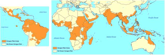 Dengue no mundo Ocorre em mais de 100 países Fonte:CDC 50 a 100 milhões de